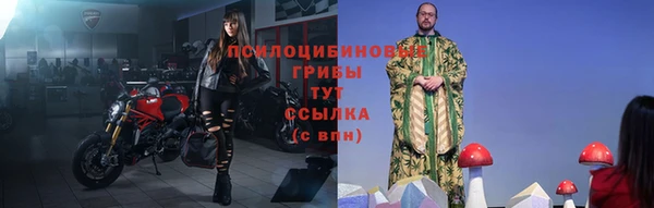 ешки Абинск