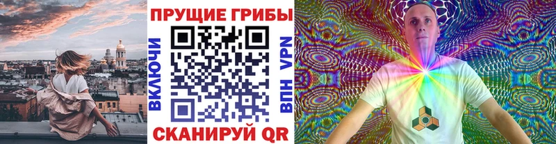 Псилоцибиновые грибы Cubensis  кракен ONION  Заринск 